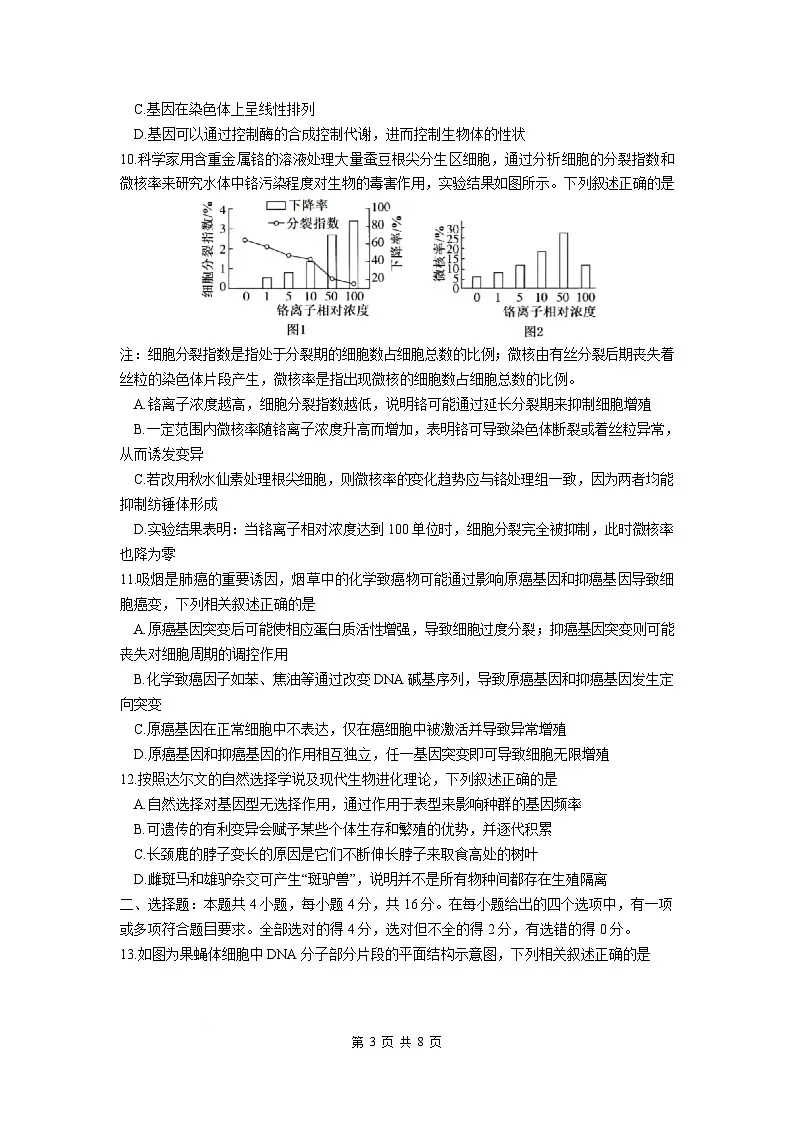 湖南省2024-2025学年高一下学期期末考试生物试题（含答案）第3页