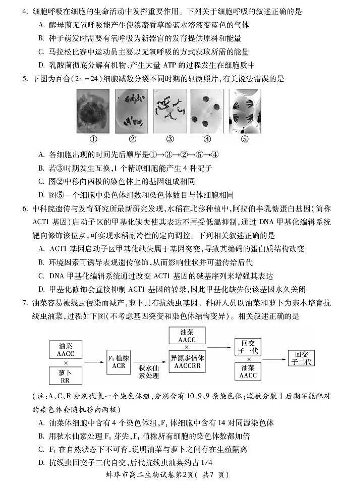 安徽省蚌埠市2025届新高二下学期期末考试-生物试题+答案第2页