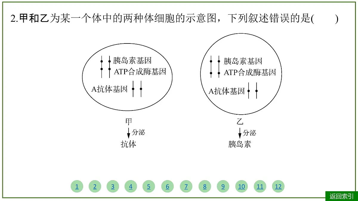 2026届高考生物学一轮复习习题课件及答案解析：专题4 第3讲 细胞的分化、衰老和死亡第7页