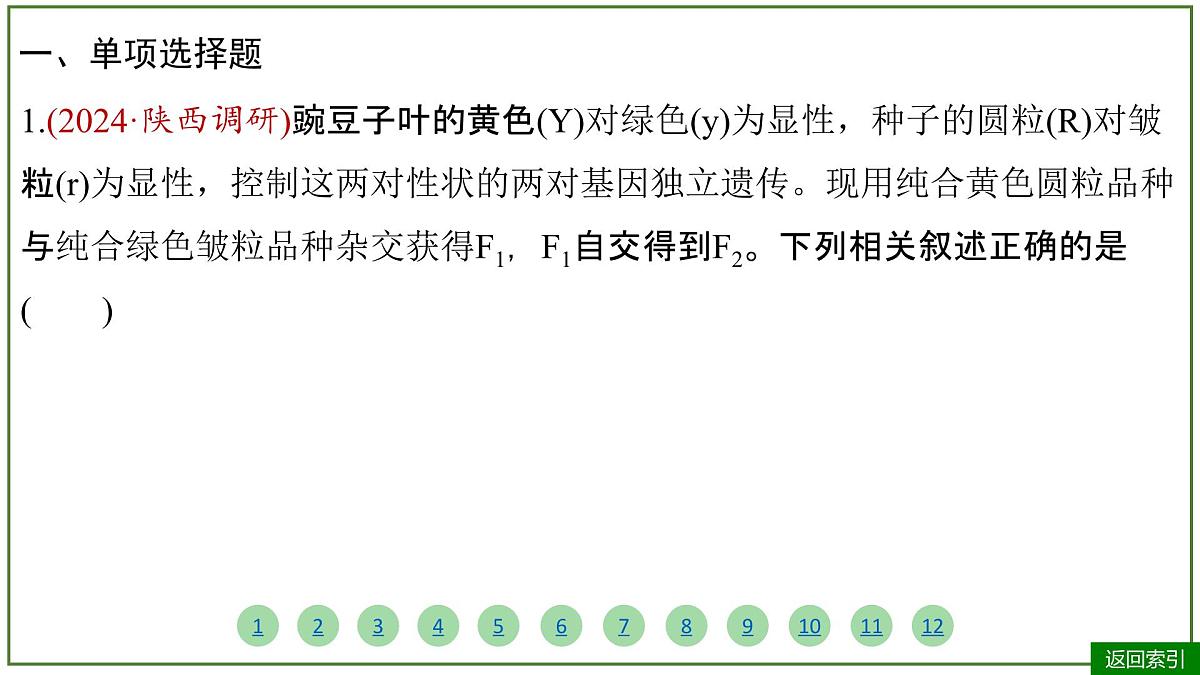 2026届高考生物学一轮复习习题课件及答案解析：专题5 第2讲 基因的自由组合定律第4页