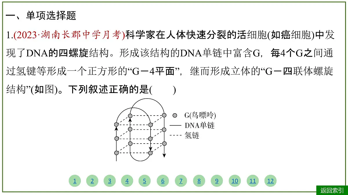 2026届高考生物学一轮复习习题课件及答案解析：专题6 第2讲 DNA的结构、复制和基因的本质 - 副本第4页