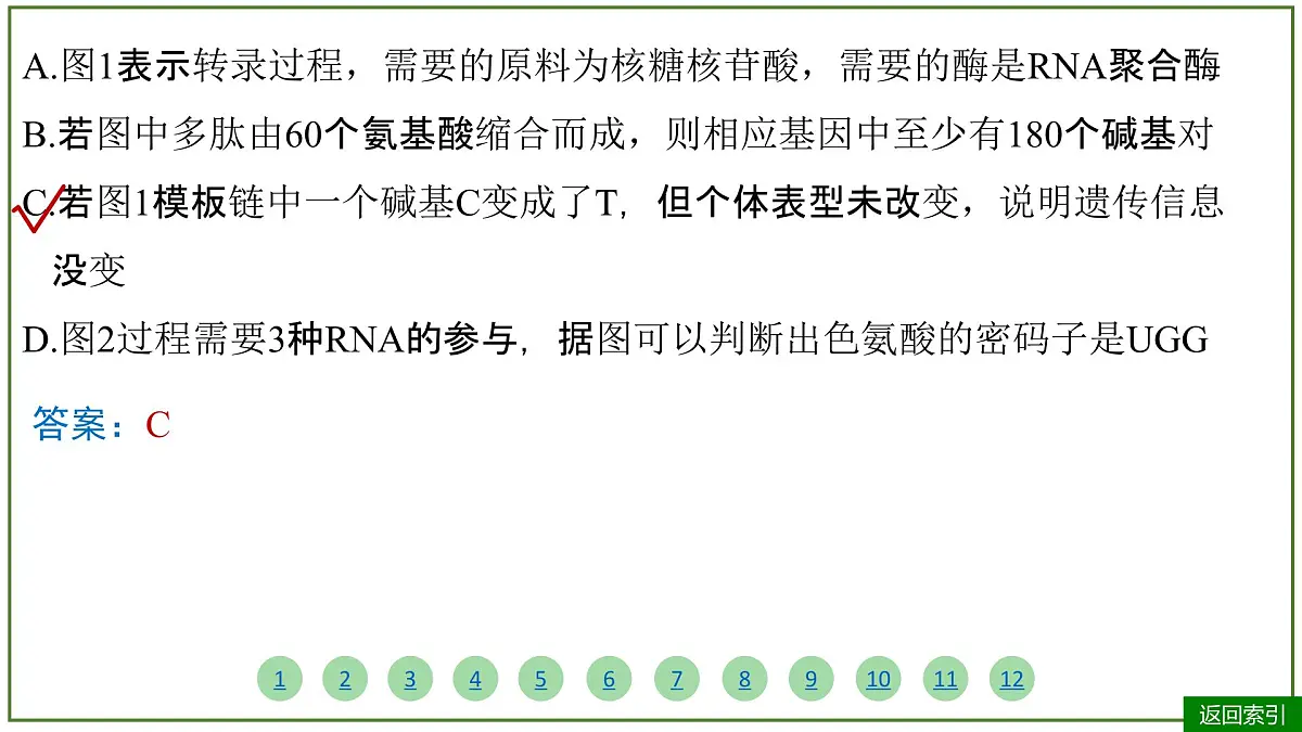 2026届高考生物学一轮复习习题课件及答案解析：专题6 第3讲 基因的表达第8页