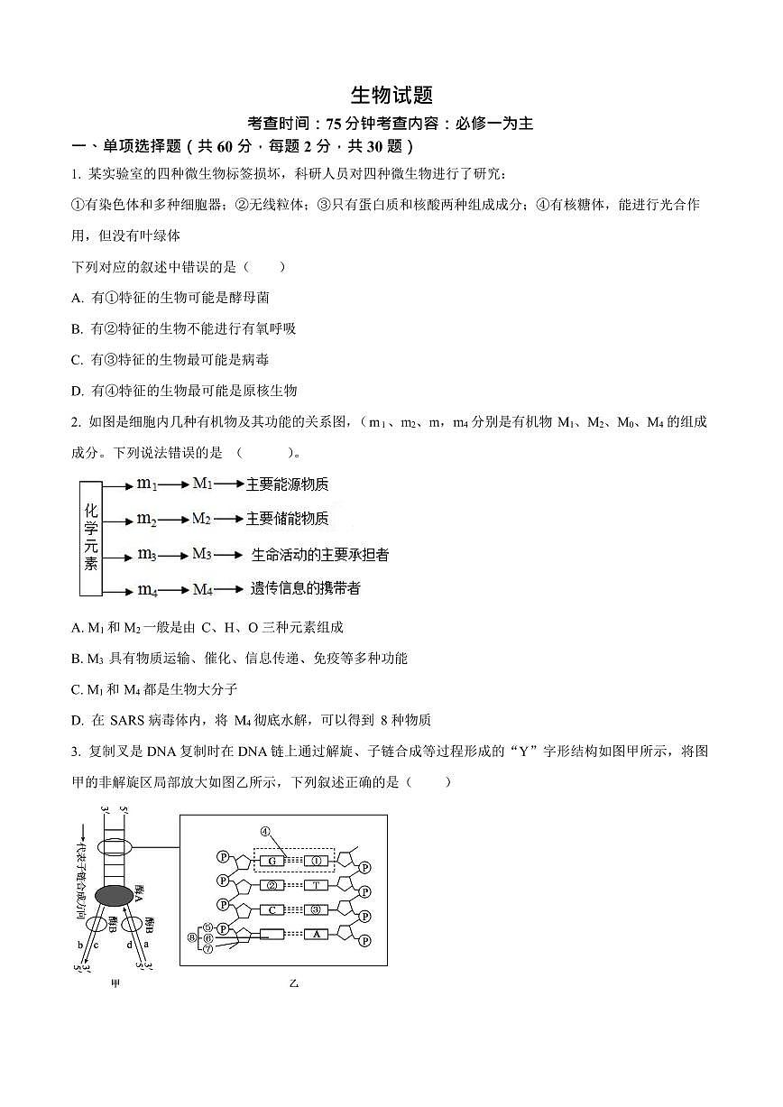 山西省山西大学附属中学校2025-2026学年高三上学期8月（第一次月考）生物试卷第1页