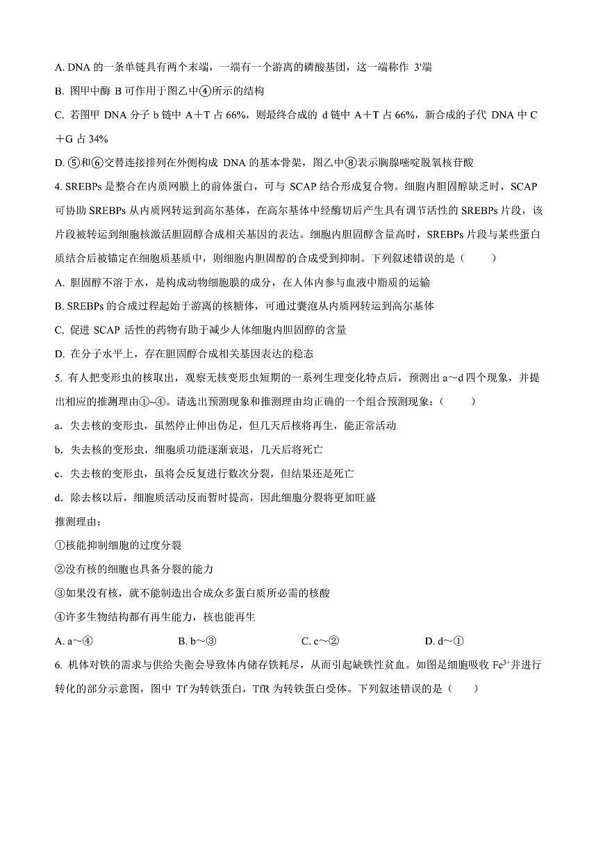山西省山西大学附属中学校2025-2026学年高三上学期8月（第一次月考）生物试卷第2页