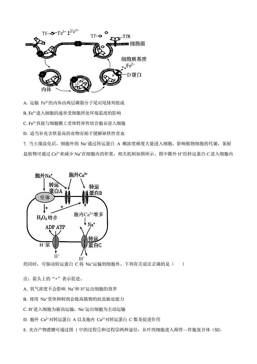 山西省山西大学附属中学校2025-2026学年高三上学期8月（第一次月考）生物试卷第3页