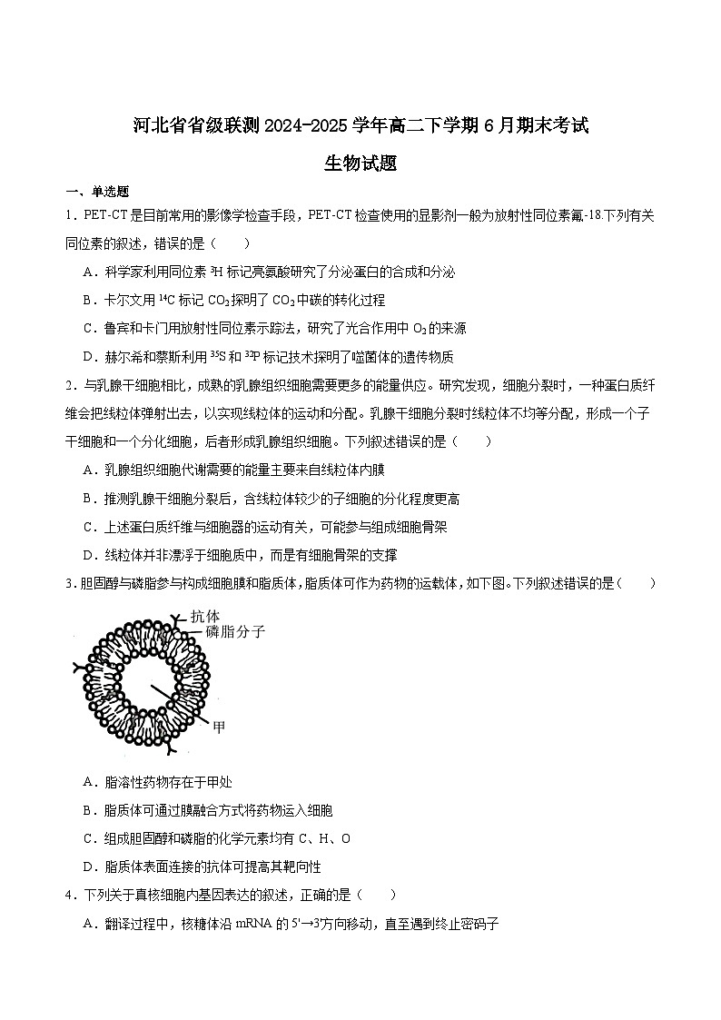 河北省省级联测2024-2025学年高二下学期6月期末考试生物试卷（Word版附答案）第1页