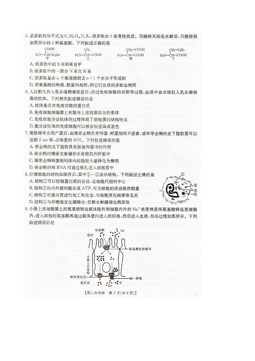 辽宁省抚顺市六校协作体2024-2025学年高二下学期期末考试生物试卷（PDF版附解析）第2页