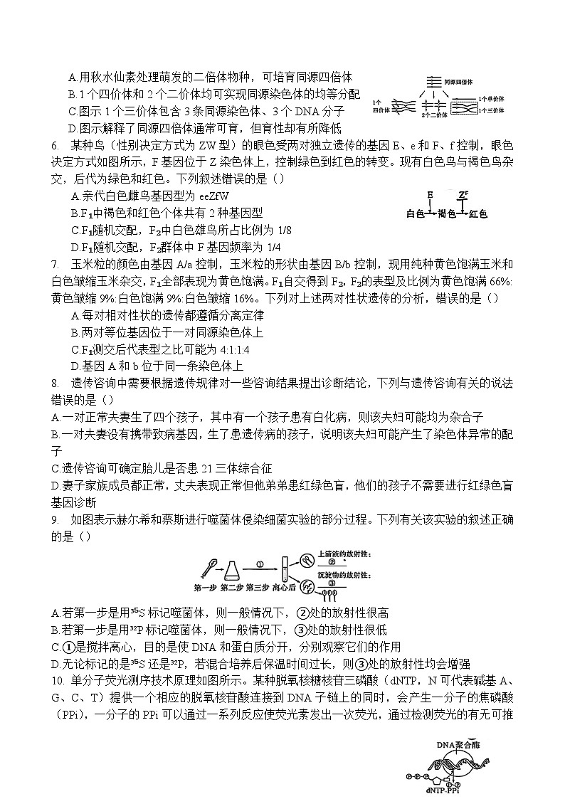 四川省广安市2024-2025学年高一下学期期末考试生物试卷（Word版附答案）第2页