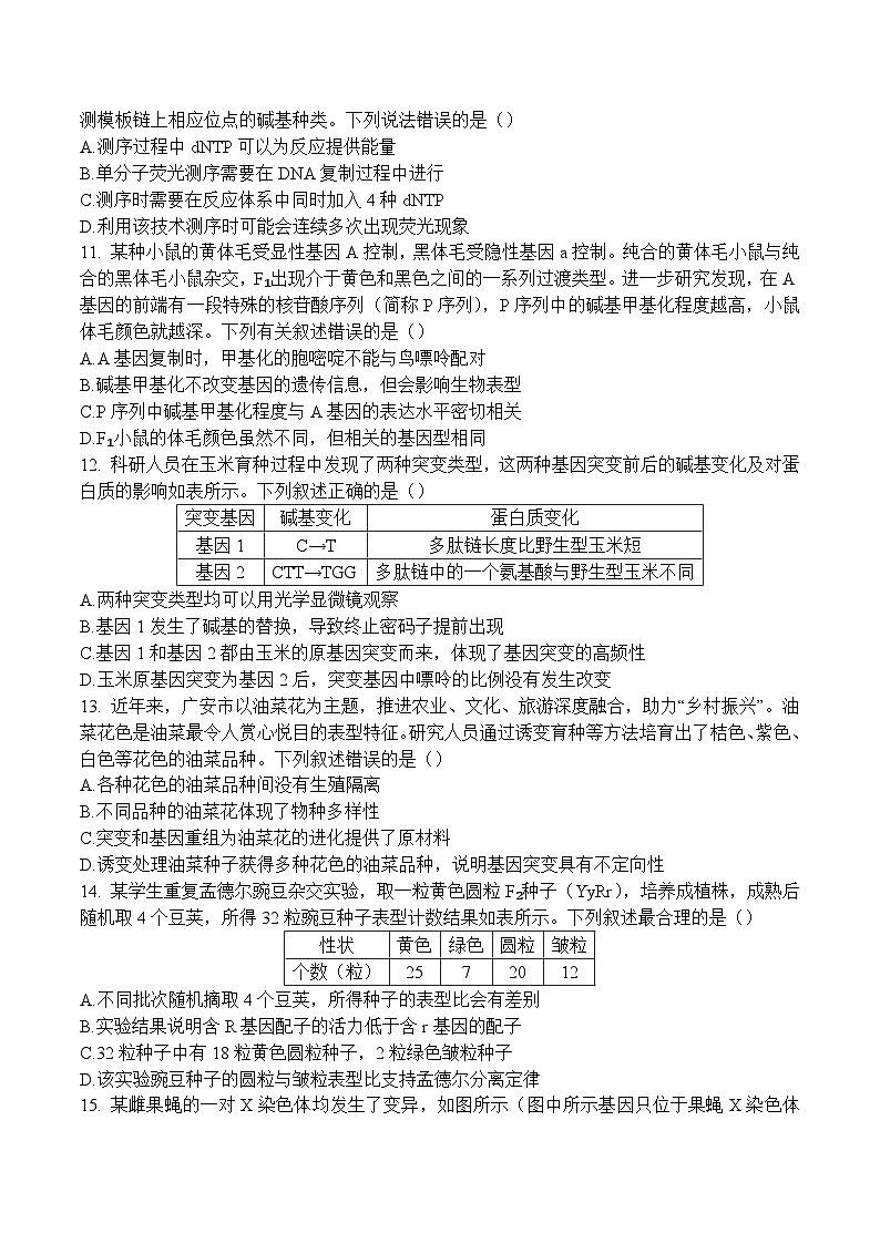 四川省广安市2024-2025学年高一下学期期末考试生物试卷（Word版附答案）第3页