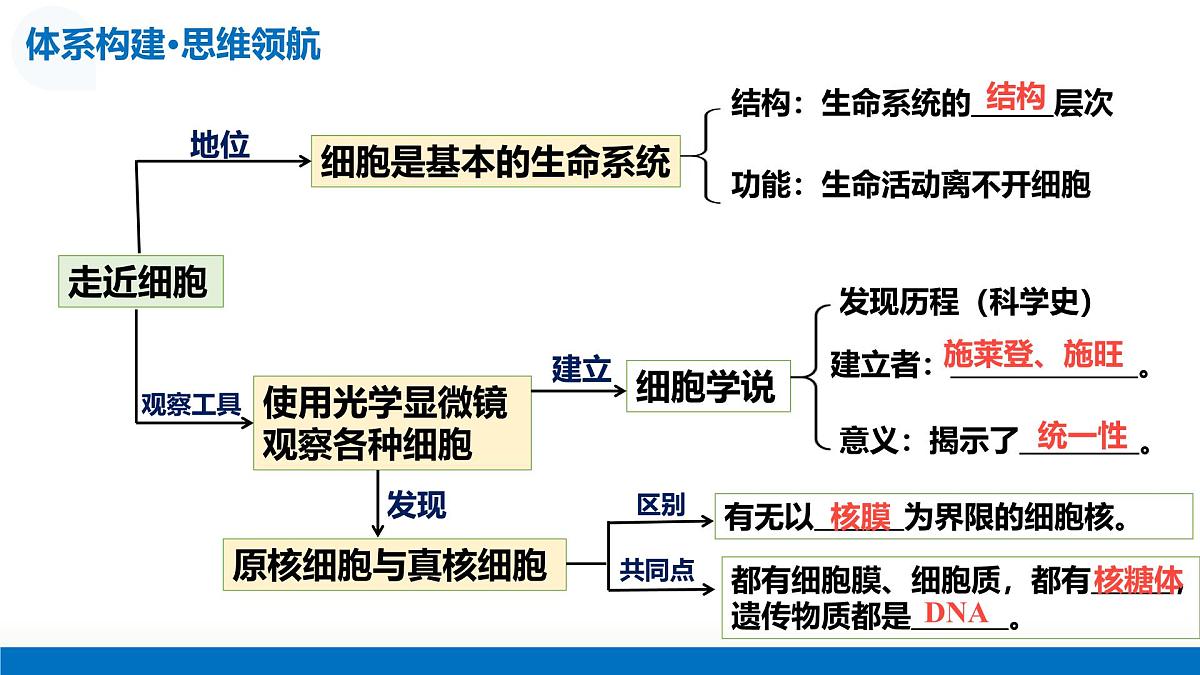 2026年高考生物一轮复习（广东专用）第01讲 走近细胞（复习课件）第6页