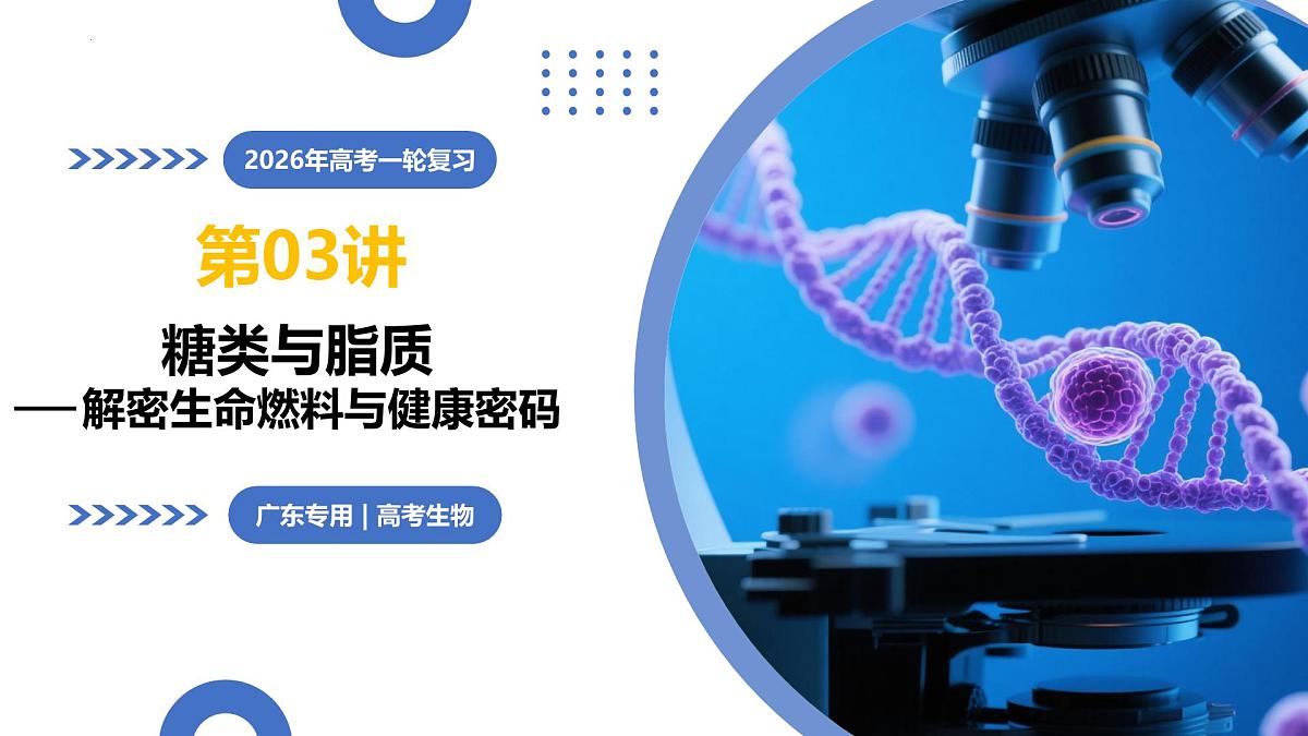 2026年高考生物一轮复习（广东专用）第03讲 糖类和脂质（复习课件）第1页