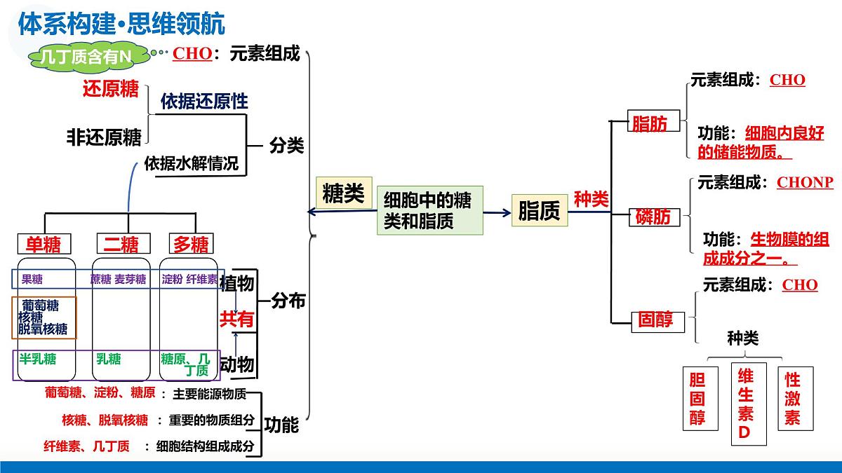 2026年高考生物一轮复习（广东专用）第03讲 糖类和脂质（复习课件）第6页