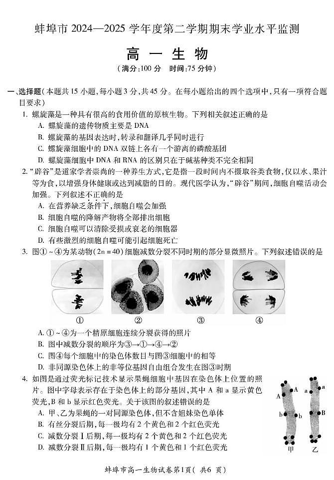 安徽省蚌埠市2024-2025学年高一下学期7月期末考试生物试题（PDF版附答案）第1页