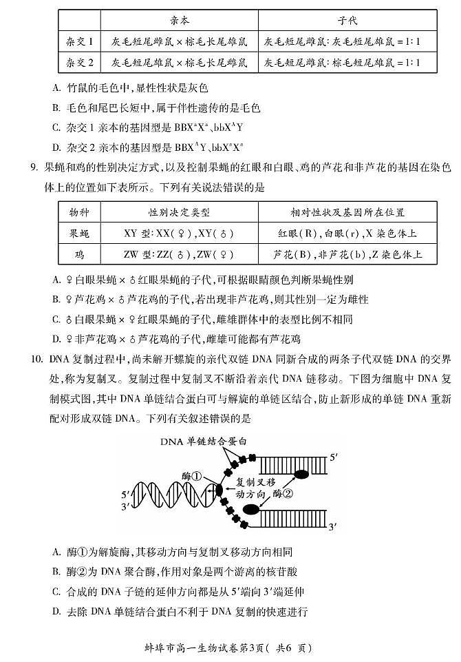 安徽省蚌埠市2024-2025学年高一下学期7月期末考试生物试题（PDF版附答案）第3页