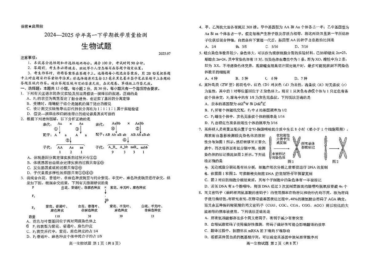 山东省菏泽市2024-2025学年高一下学期期末考试生物试题（PDF版附答案）第1页