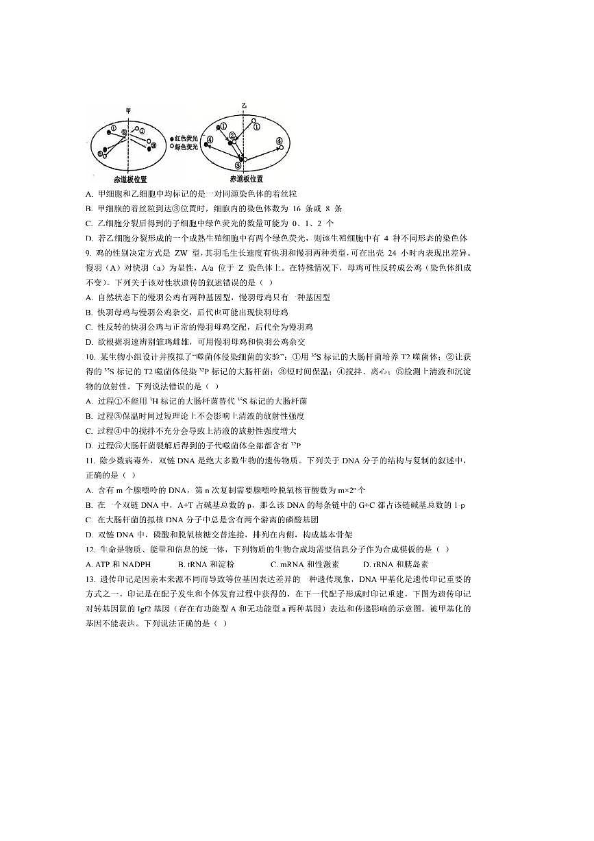 2024～2025学年四川省德阳市第五中学高一下期末模拟考试生物试卷(含答案)第3页