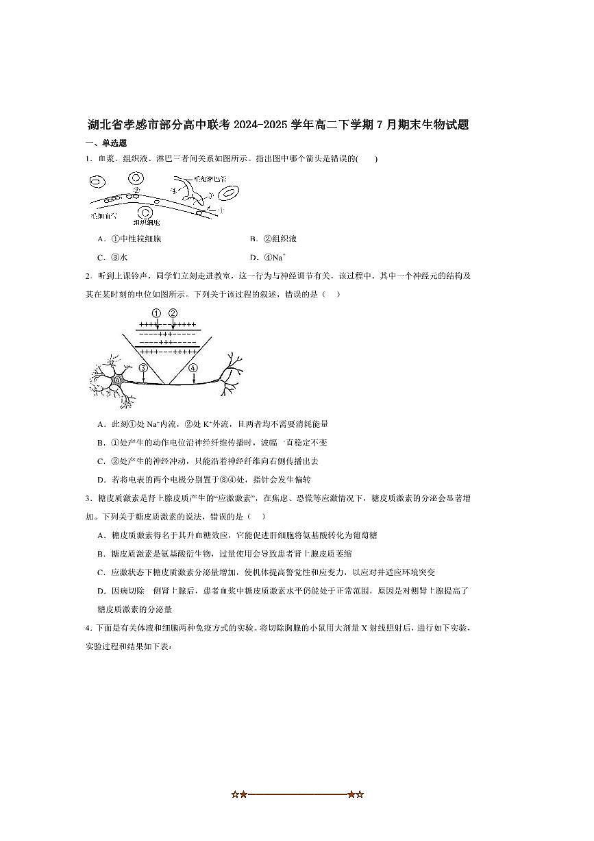 2024～2025学年湖北省孝感市高中高二下7月期末联考(月考)生物试卷(含答案)第1页