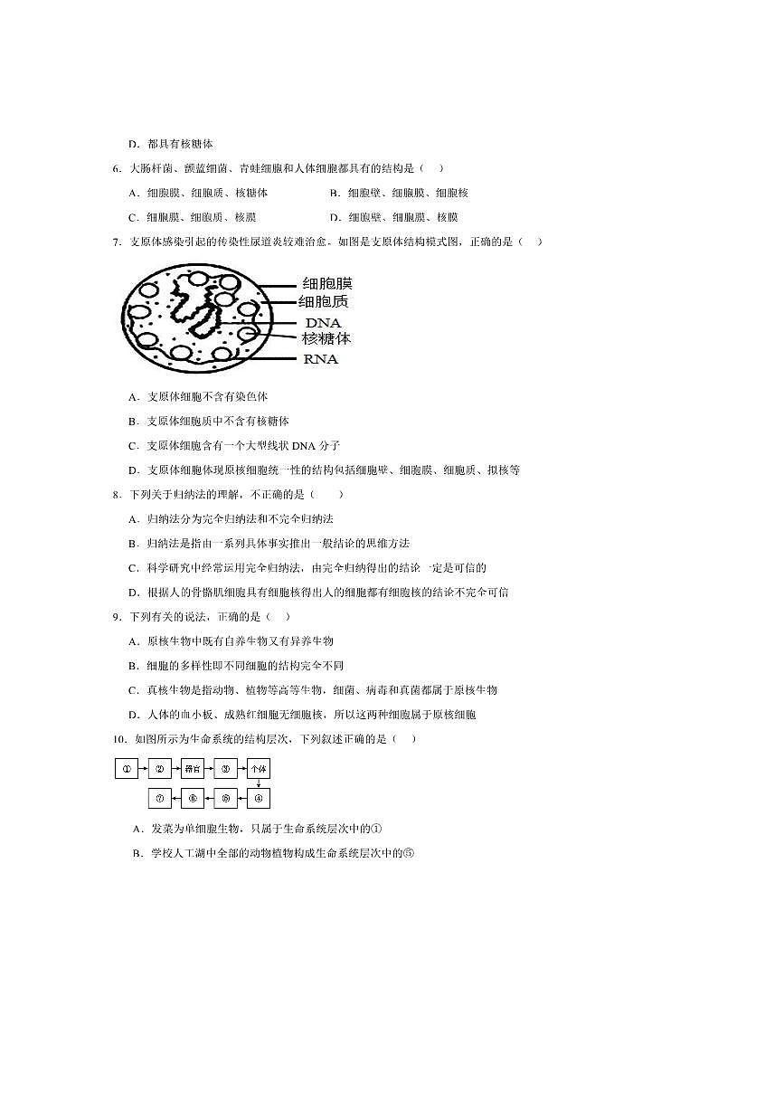 2024～2025学年四川省眉山市仁寿县第一中学校南校区高一上1月期末考试生物试卷(含答案)第2页