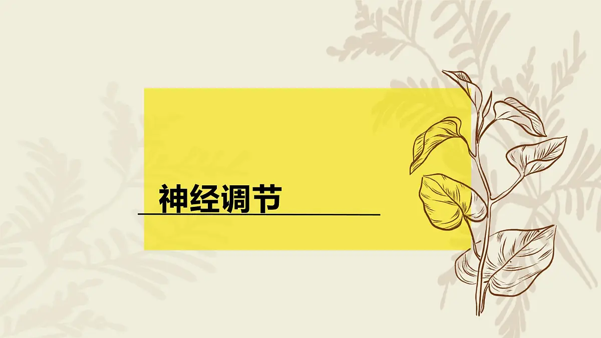 高中人教版生物学选择性必修1—（复习）第二章神经调节PPT课件第2页
