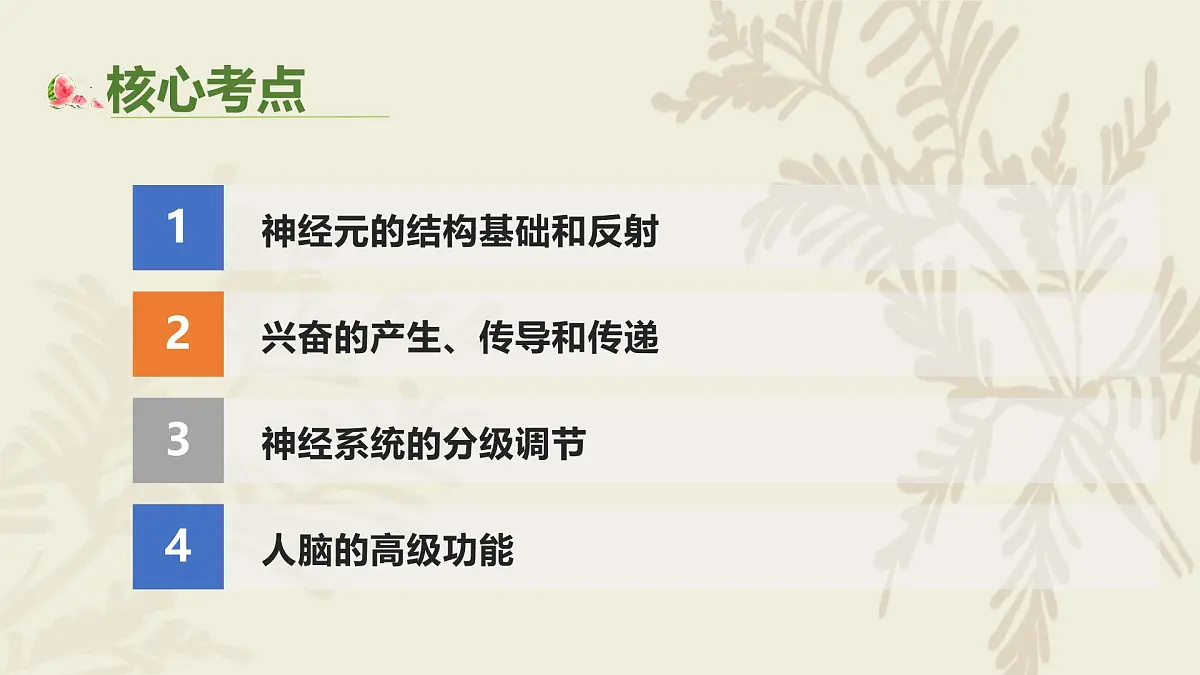 高中人教版生物学选择性必修1—（复习）第二章神经调节PPT课件第3页