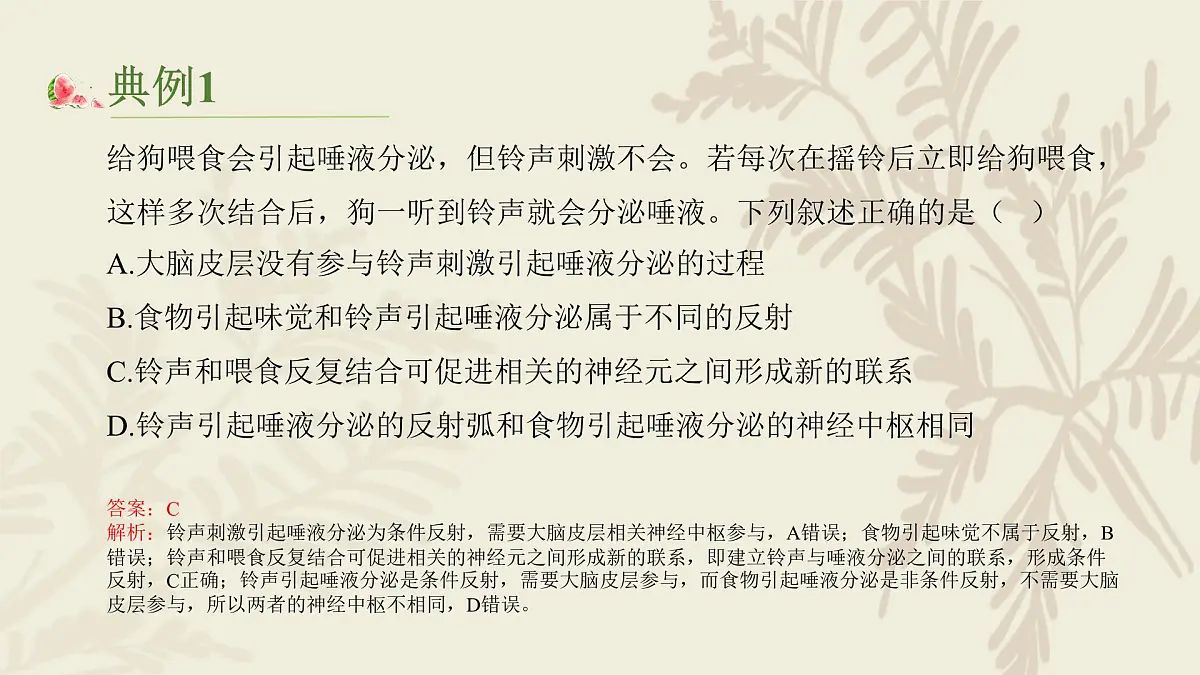 高中人教版生物学选择性必修1—（复习）第二章神经调节PPT课件第5页