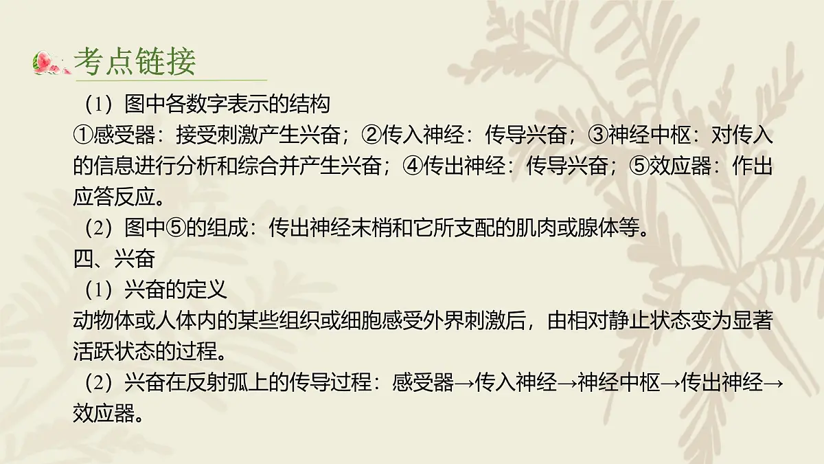 高中人教版生物学选择性必修1—（复习）第二章神经调节PPT课件第7页
