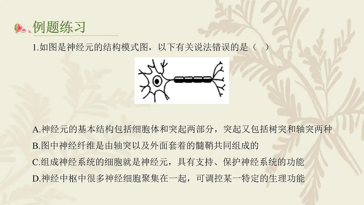 高中人教版生物学选择性必修1—（复习）第二章神经调节PPT课件第8页