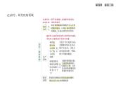 4.2基因工程及其延伸技术应用广泛知识点串讲课件+分层训练-浙科版高二上册生物（选必三）
