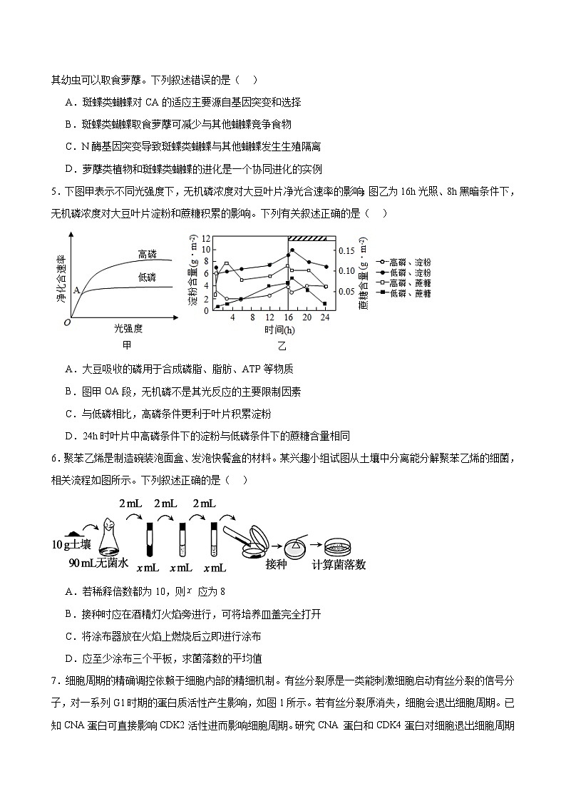 福建省厦门双十中学2026届高三上学期暑期阶段性训练（开学）生物试卷（Word版附答案）第2页