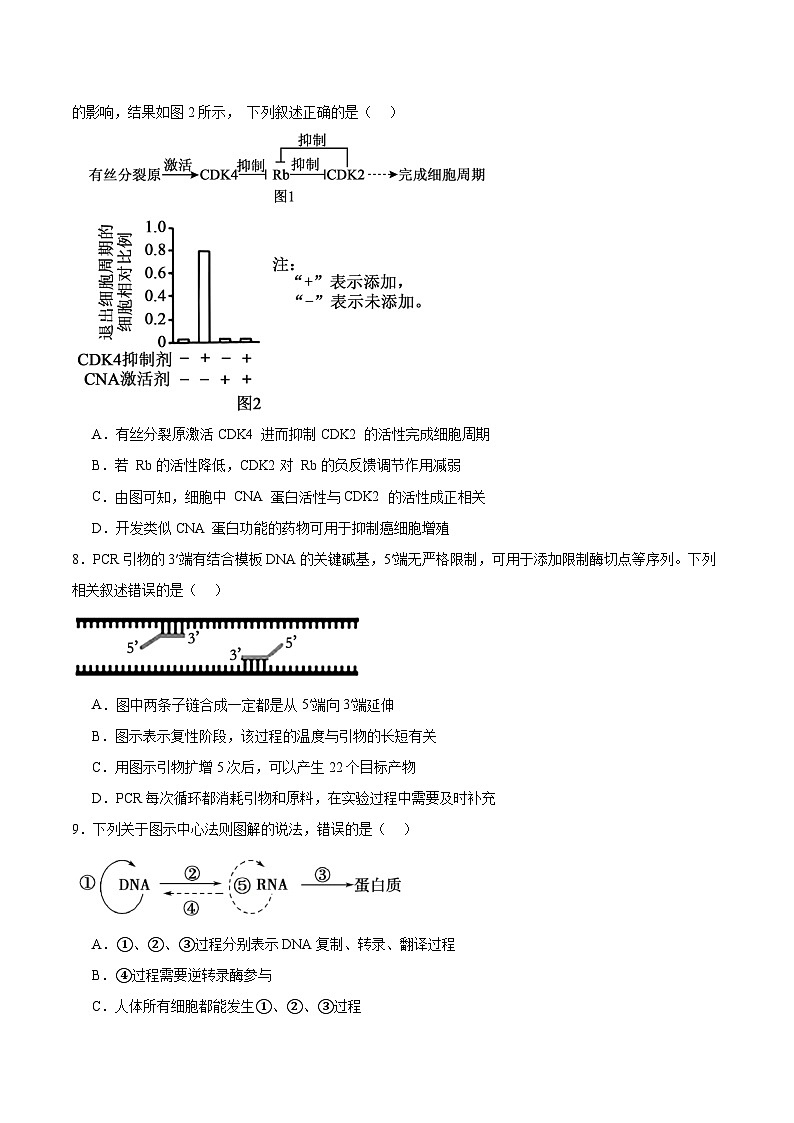 福建省厦门双十中学2026届高三上学期暑期阶段性训练（开学）生物试卷（Word版附答案）第3页