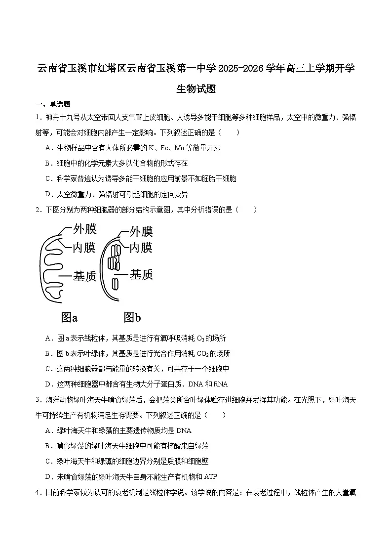 云南省玉溪第一中学2026届高三上学期开学考试生物试卷（Word版附答案）第1页