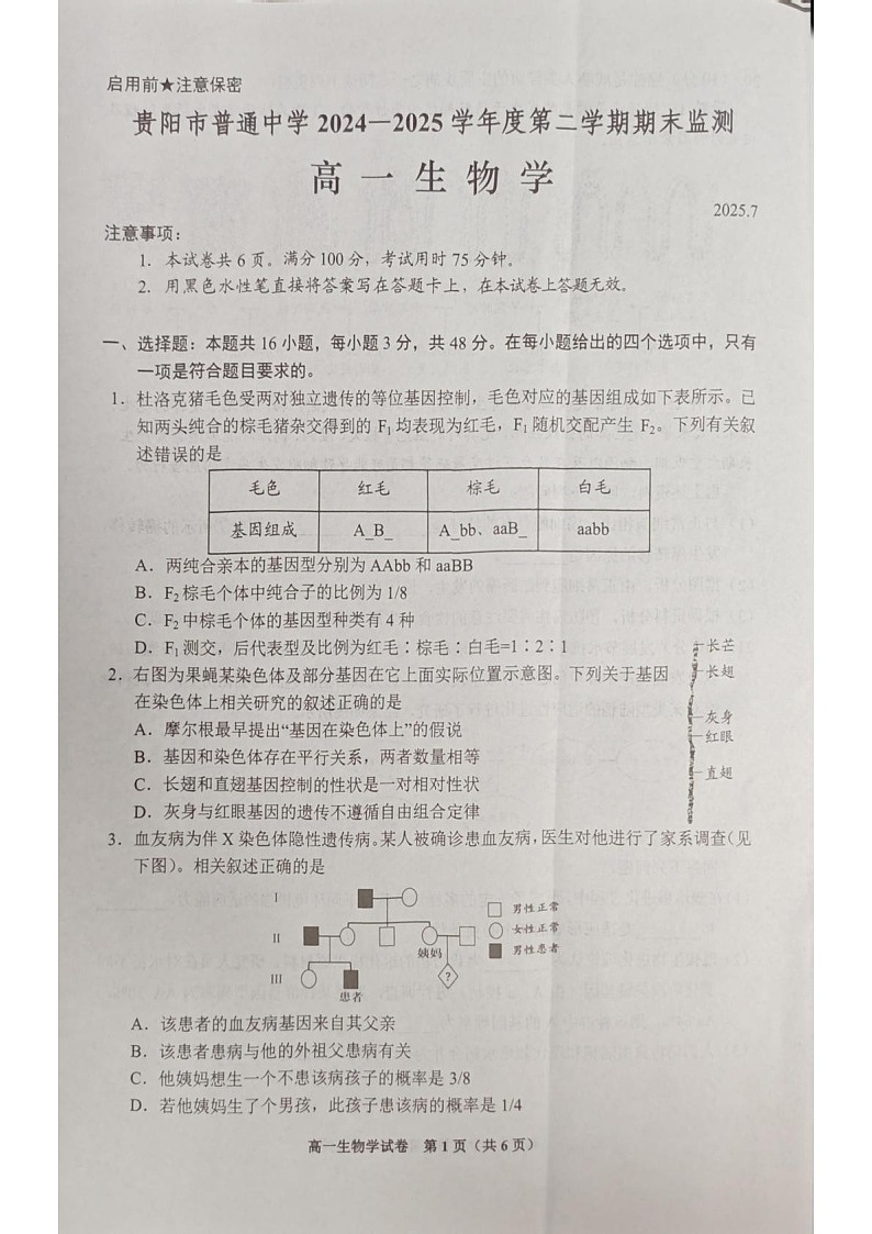贵州省贵阳市普通高中2024-2025学年高一下学期期末考试 生物试卷第1页