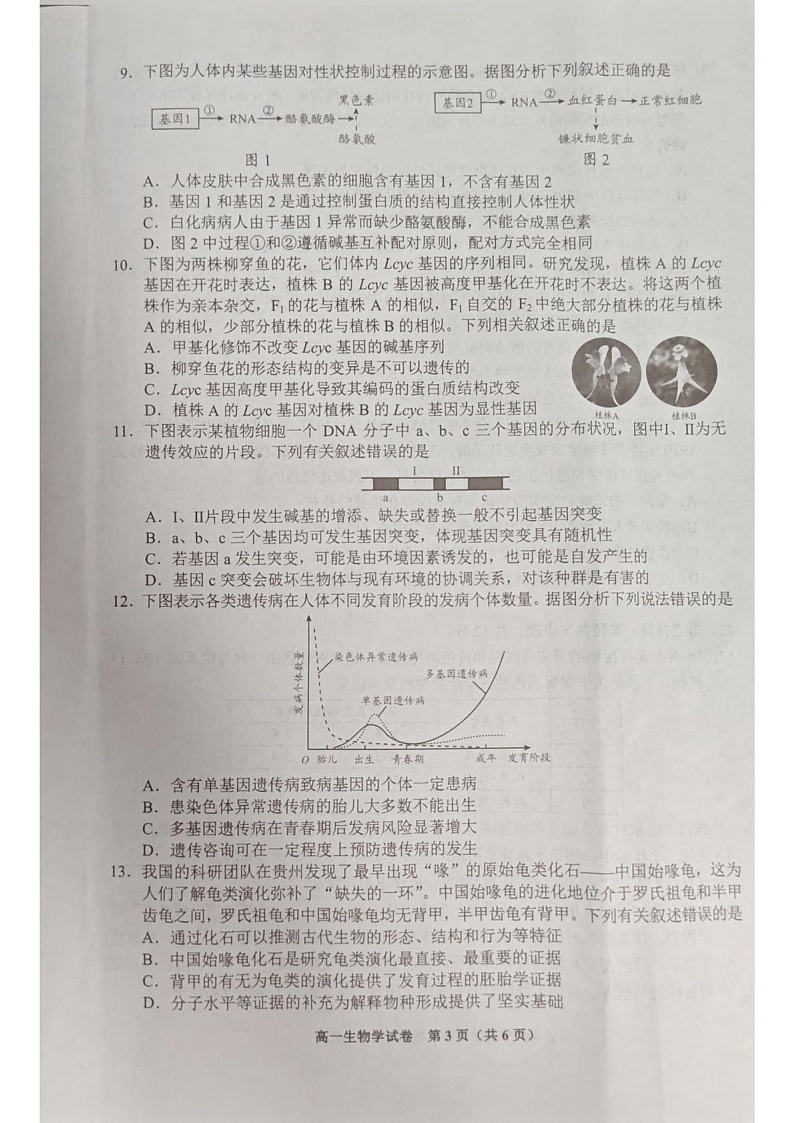 贵州省贵阳市普通高中2024-2025学年高一下学期期末考试 生物试卷第3页