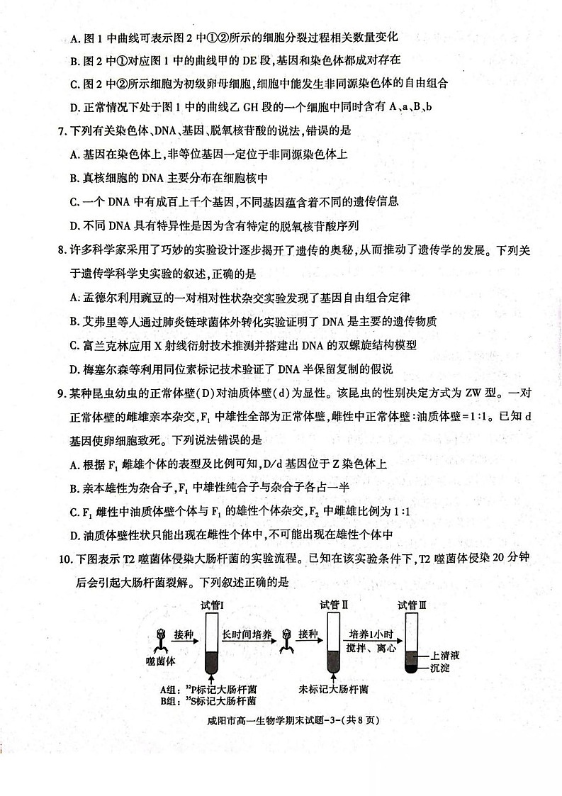 陕西省咸阳市2024-2025学年高一下学期期末质量检测生物试卷第3页