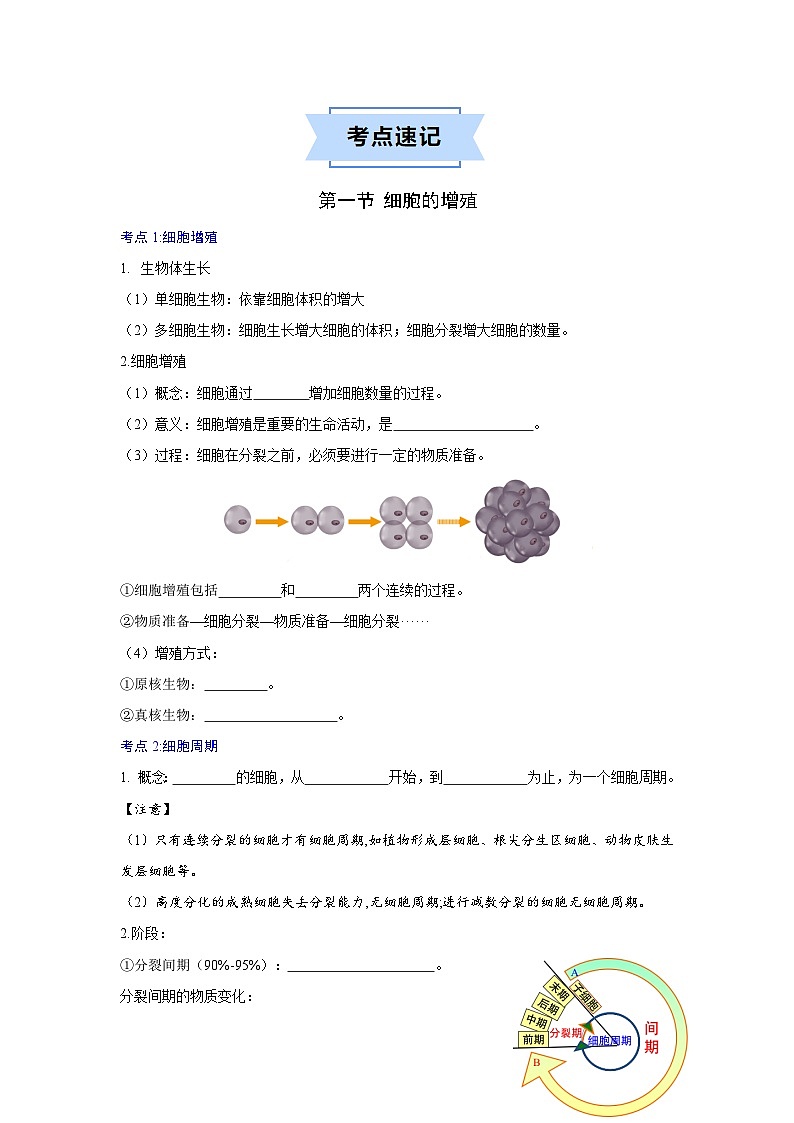 人教版高中生物必修1第六章 细胞的生命历程 【知识结构图与知识清单】第2页