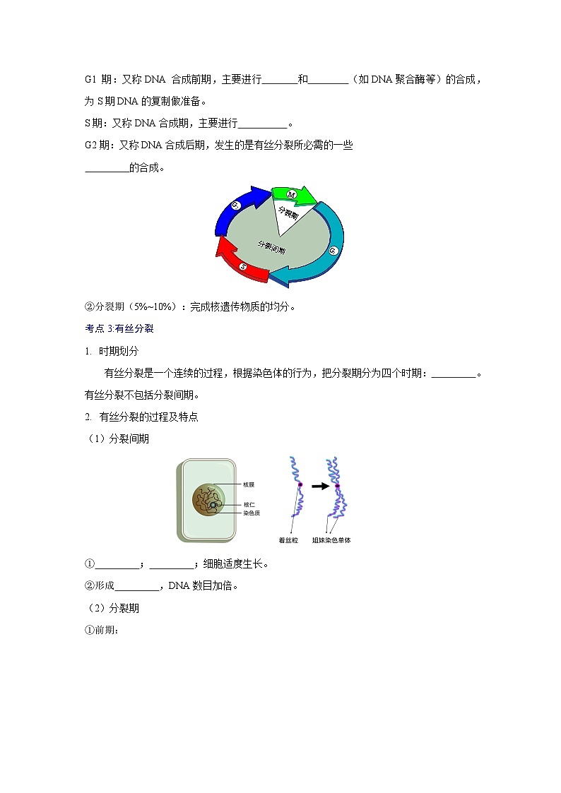 人教版高中生物必修1第六章 细胞的生命历程 【知识结构图与知识清单】第3页