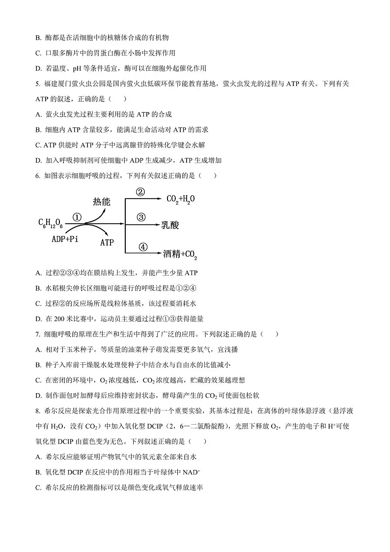 2025届福建省百校联考高三下学期10月测评-生物试题（含答案）第2页