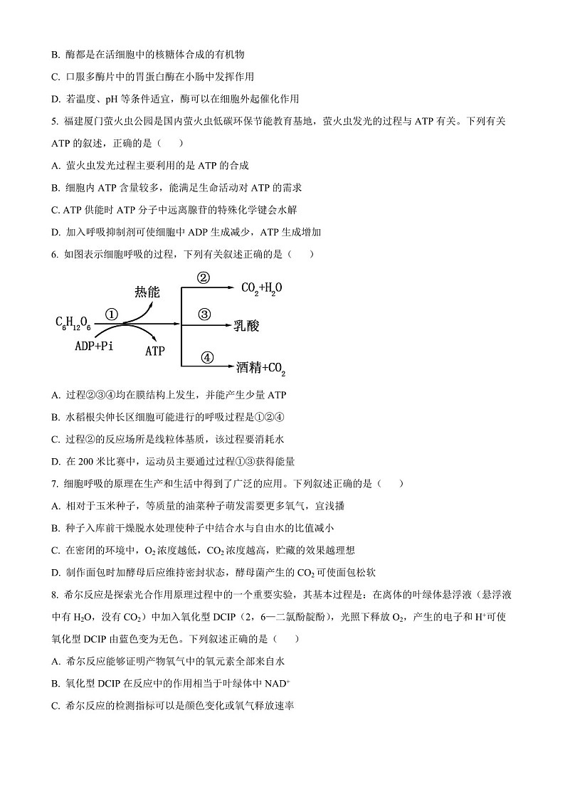 2025届福建省百校联考高三下学期10月测评-生物试题（含答案）第2页