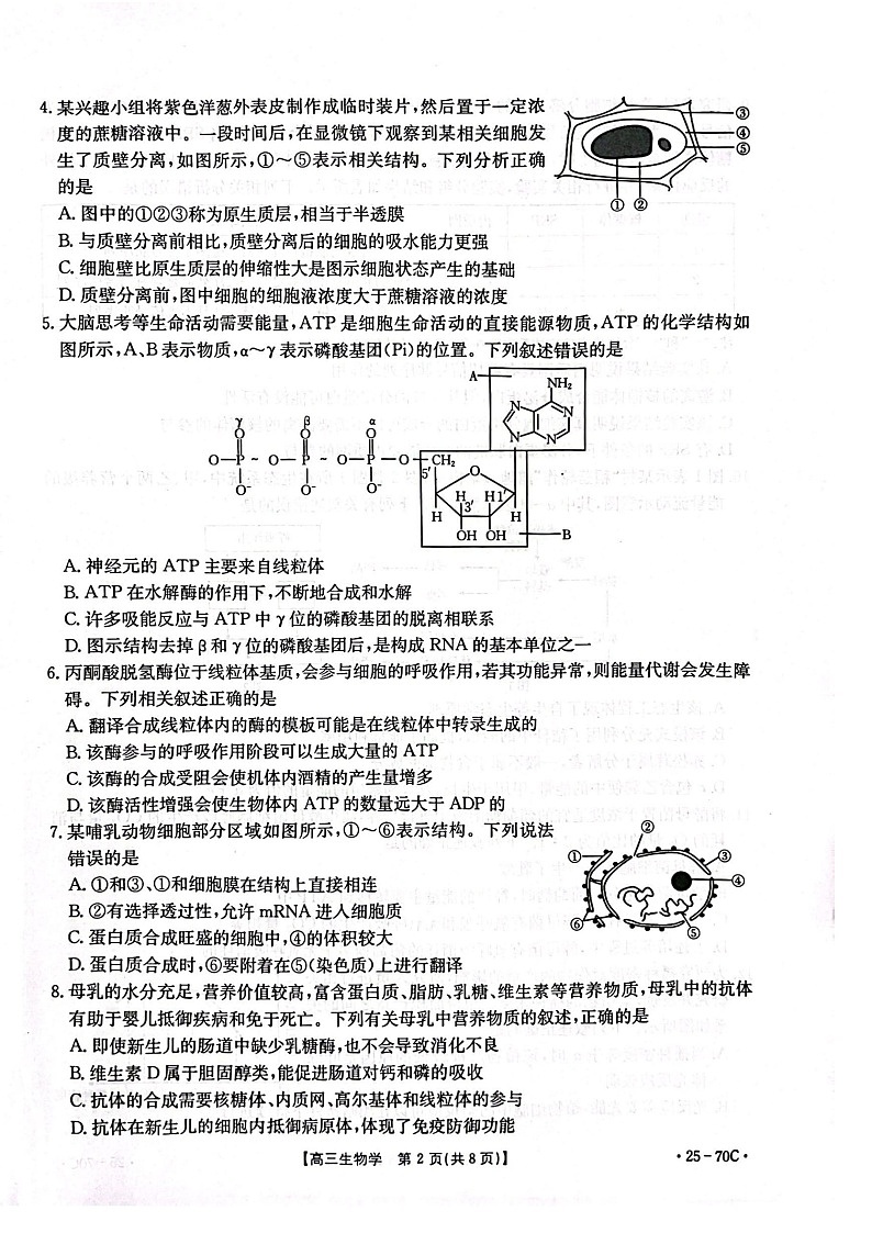 2025届河北省金太阳高三下学期10月质检联盟-生物试题（含答案）第2页