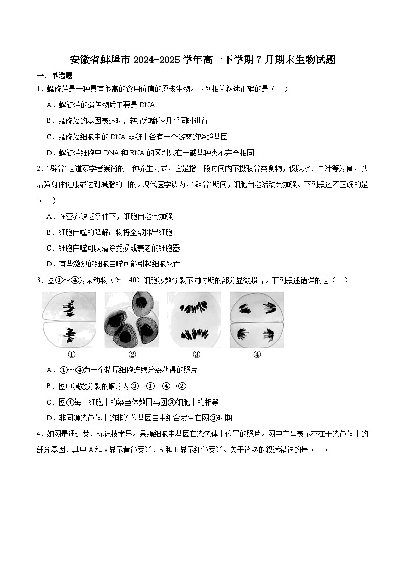 安徽省蚌埠市2024-2025学年高一下学期7月期末学业水平监测生物试卷（含答案）第1页