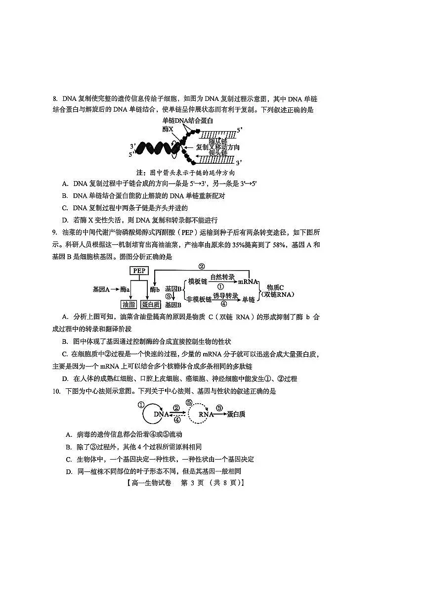 河南省三门峡市2024-2025学年高一下学期期末考试 生物 PDF版含解析第3页