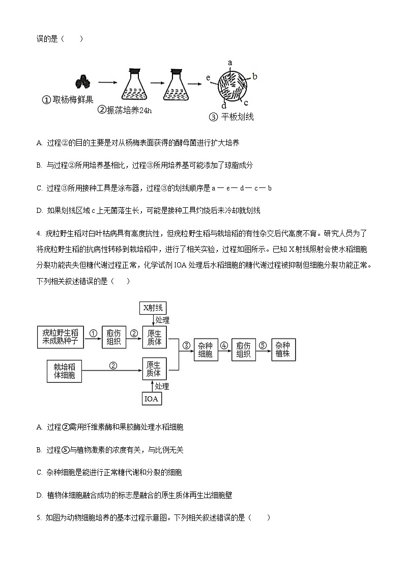 内蒙古自治区鄂尔多斯市西四旗联考2024-2025学年高二下学期7月期末生物试题（有答案）第2页