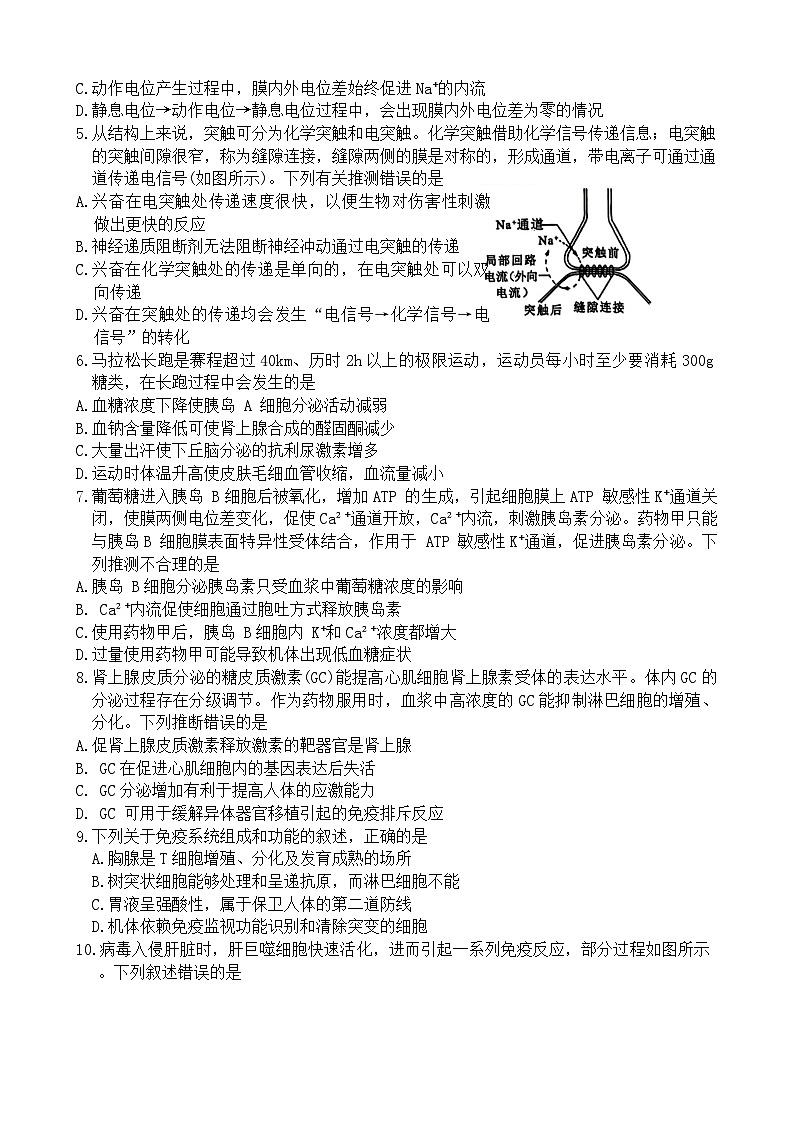 河南省洛阳市2024-2025学年高二上学期11月期中考试生物试卷第2页