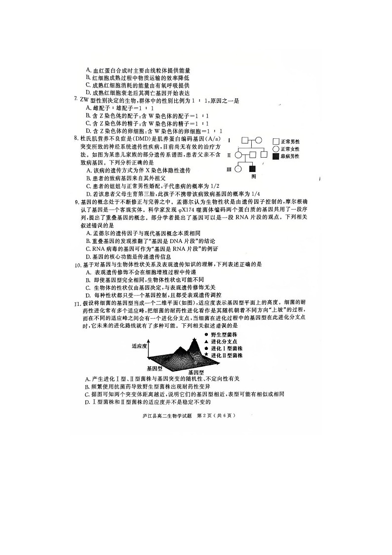 厦泉五校2024-2025学年高二下期期末联考生物卷含答案第2页