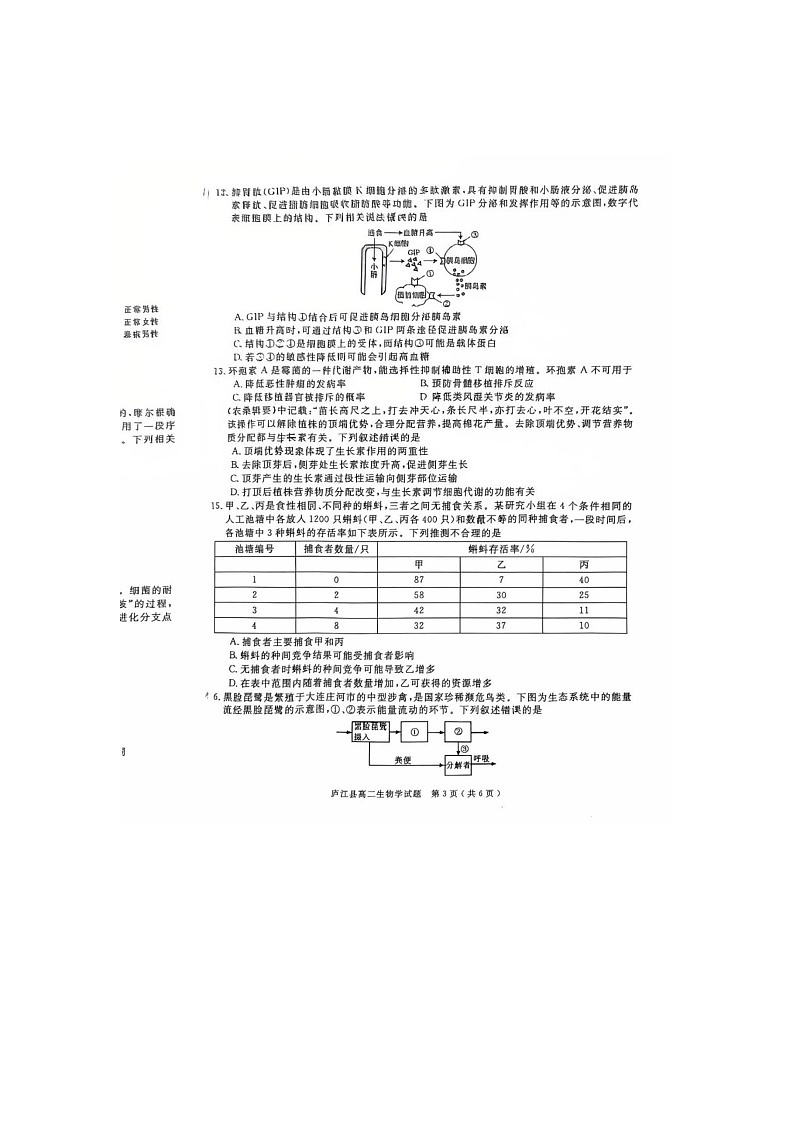 厦泉五校2024-2025学年高二下期期末联考生物卷含答案第3页
