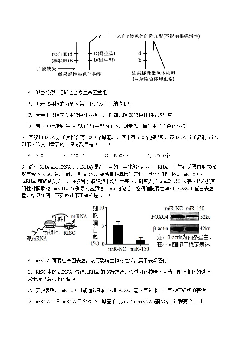 四川省阿坝藏族羌族自治州2024-2025学年高一下学期7月期末生物试题（含答案）第3页
