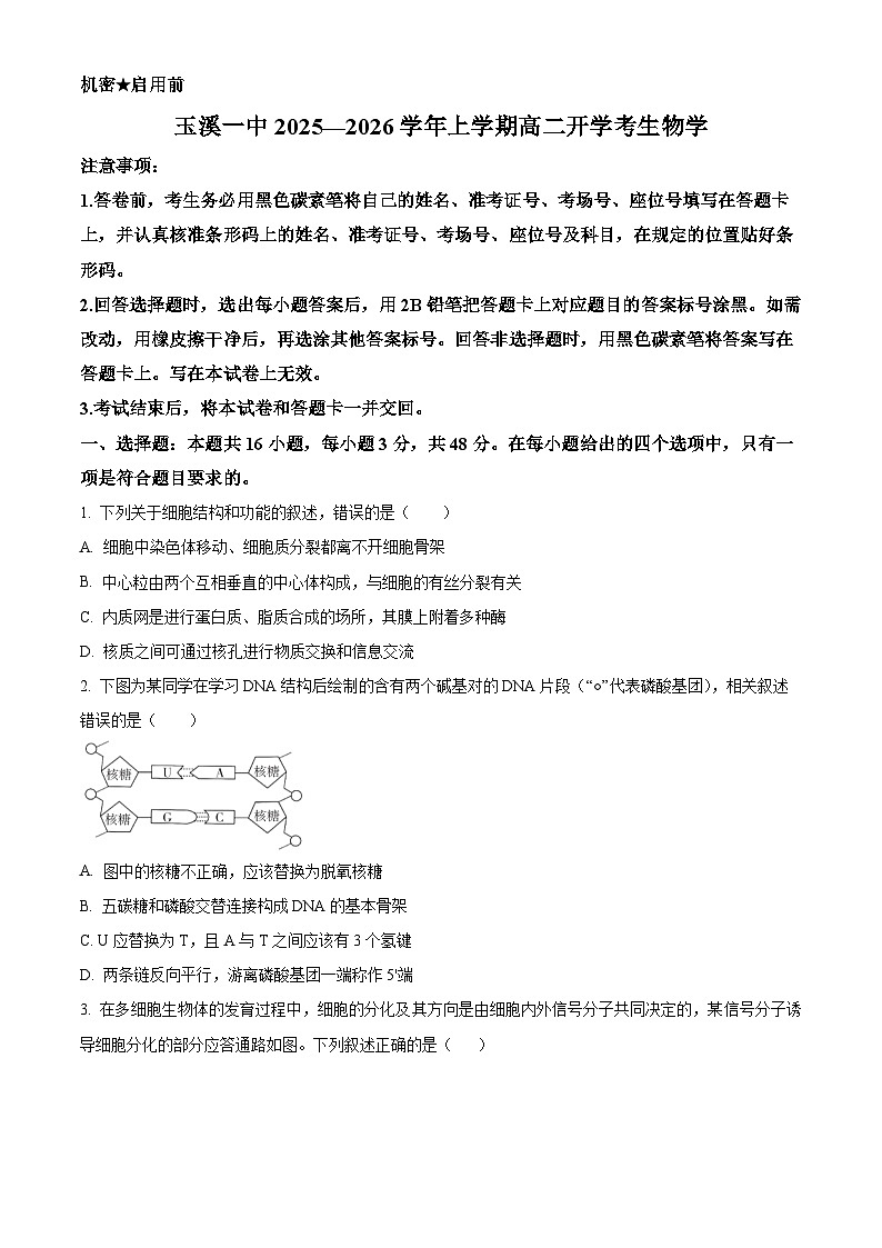 精品解析：云南省玉溪市红塔区云南省玉溪第一中学2025-2026学年高二上学期开学生物试题（原卷版）第1页