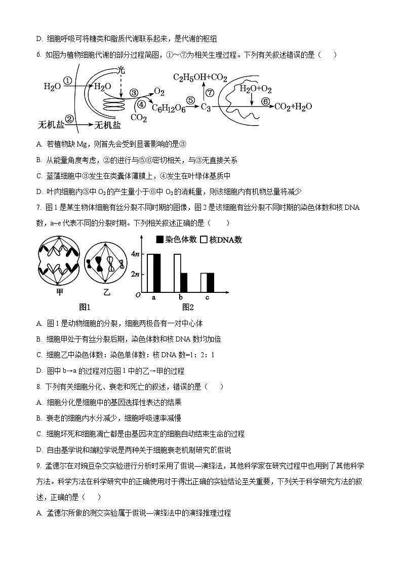 精品解析：云南省玉溪市红塔区云南省玉溪第一中学2025-2026学年高二上学期开学生物试题（原卷版）第3页