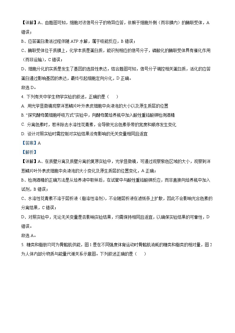 精品解析：云南省玉溪市红塔区云南省玉溪第一中学2025-2026学年高二上学期开学生物试题（解析版）第3页