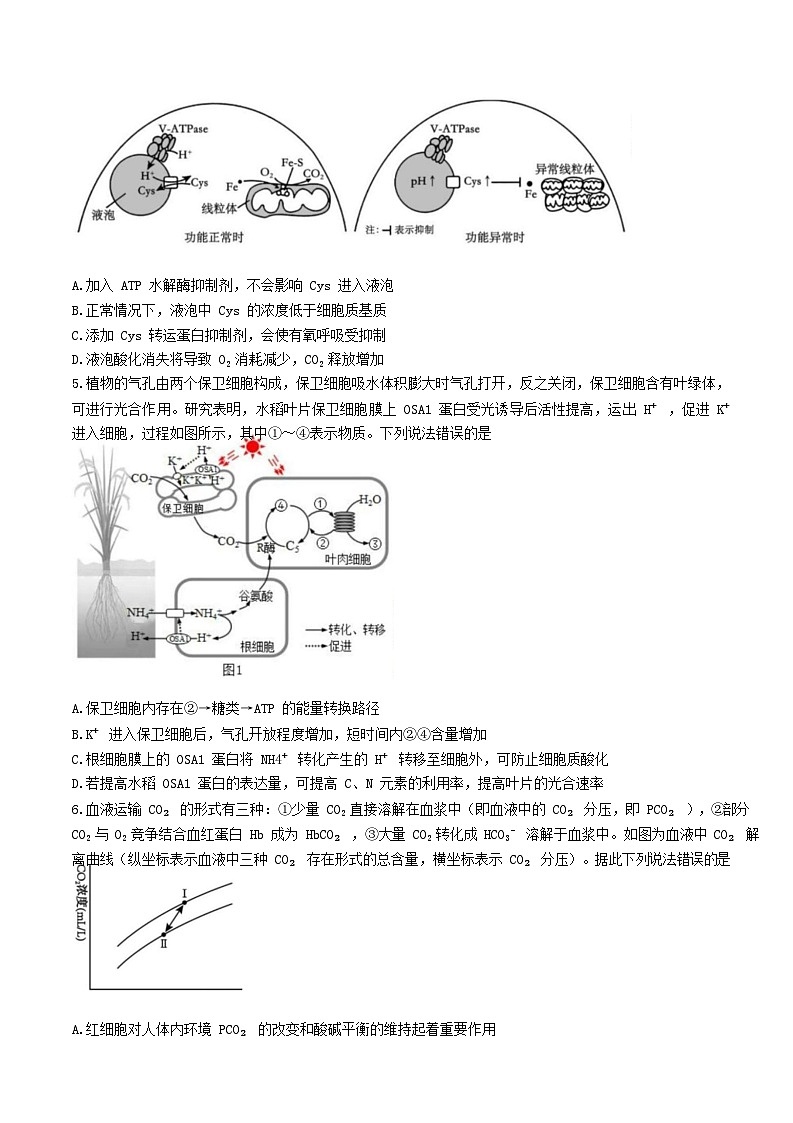 湖北省2025届高三生物下学期4月联考试卷第2页
